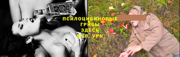 стаф Балахна