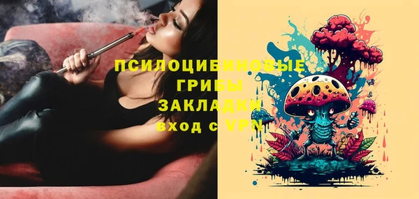гашик Арсеньев