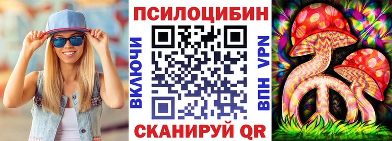 Галлюциногенные грибы Psilocybine cubensis  Сольцы 